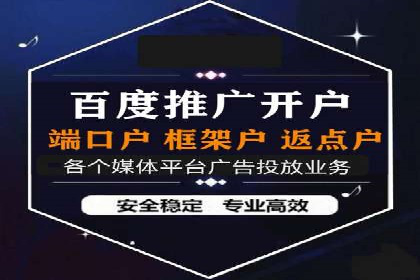 SEM代理助力品牌：案例解析与优化策略